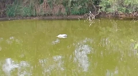 ಮೃತದೇಹಗಳನ್ನು ಎಸೆದಿದ್ದ ಕೆರೆ
