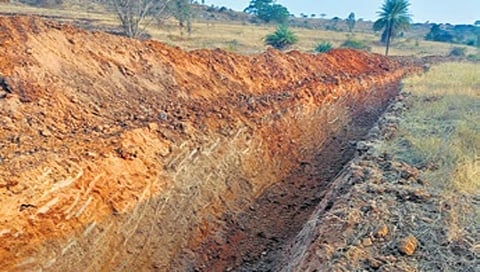 ಆನೆ ಕಂದಕ ತಡೆ ಗೋಡೆ