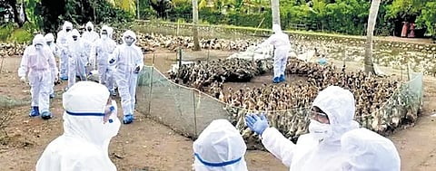 ಸಂಗ್ರಹ ಚಿತ್ರ