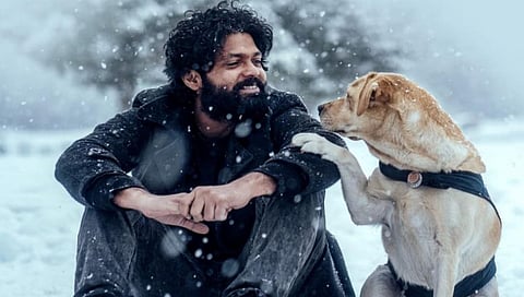 ಚಾರ್ಲಿಯೊಂದಿಗೆ ರಕ್ಷಿತ್ ಶೆಟ್ಟಿ