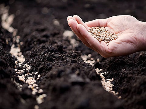 Representative picture