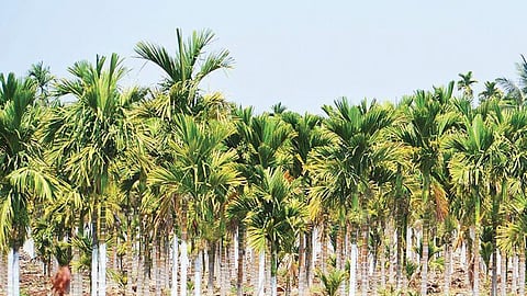 ಸಾಂದರ್ಭಿಕ ಚಿತ್ರ