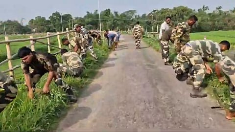 BSF launched Parthenium eradicate program