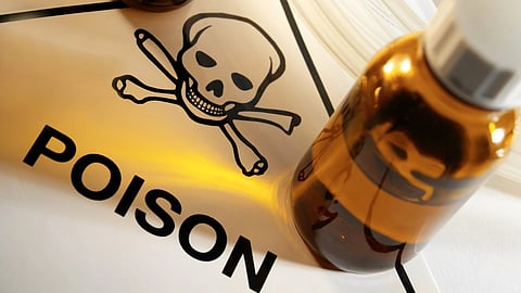 ಸಂಗ್ರಹ ಚಿತ್ರ