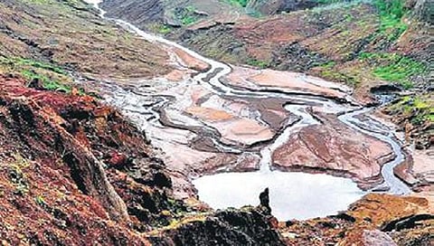 ಮಹಾದಾಯಿ (ಸಂಗ್ರಹ ಚಿತ್ರ)