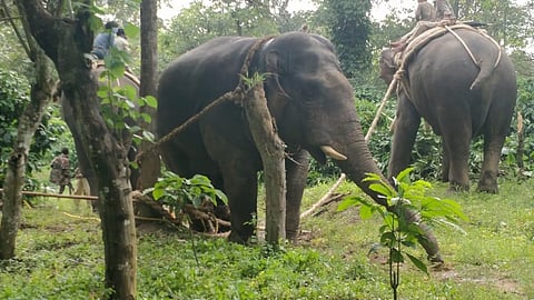 ಸಾಂದರ್ಭಿಕ ಚಿತ್ರ