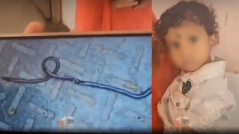 toddler Bites Snake To Death In Bihar