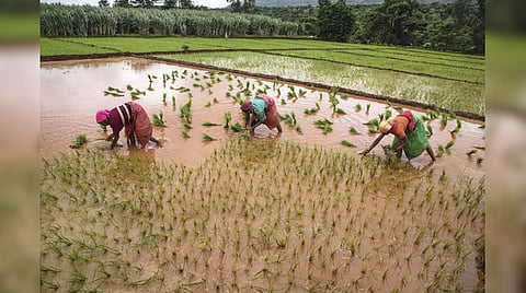 ಸಾಂದರ್ಭಿಕ ಚಿತ್ರ