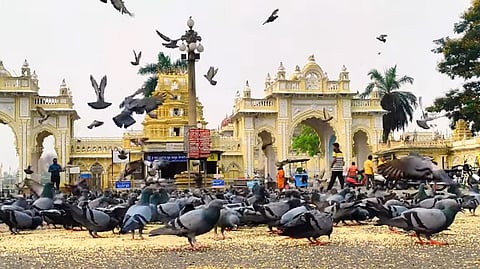 ಸಂಗ್ರಹ ಚಿತ್ರ