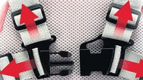 Safety harness