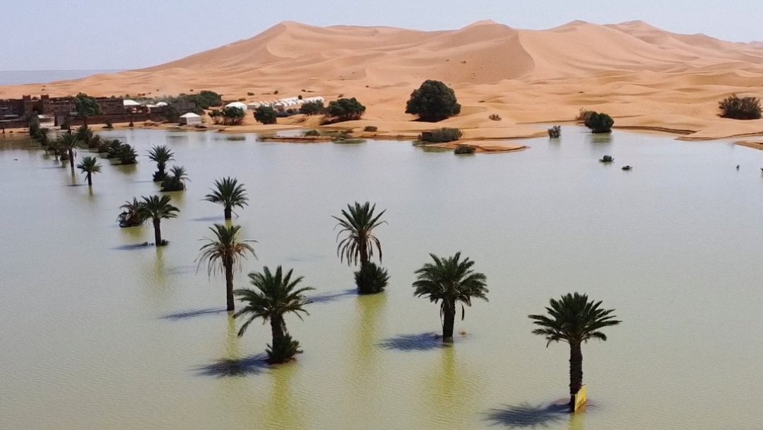 Sahara Desert Witnesses First Floods In 50 Years