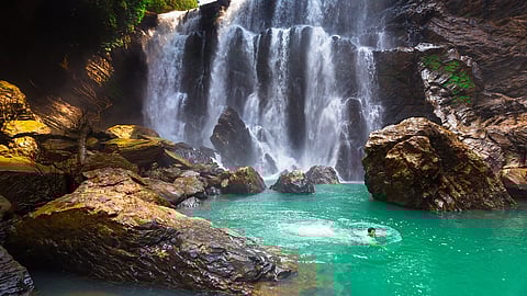 ಸಂಗ್ರಹ ಚಿತ್ರ