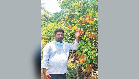 Lohith not only manages his own farm and nursery but also helps other people start their own ventures.