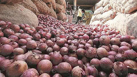 Onion Casual Images