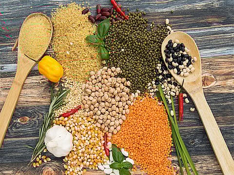 Russia discusses cooperation in pulses trade with India