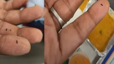 Insects Found in Sambar On Vande Bharat Express