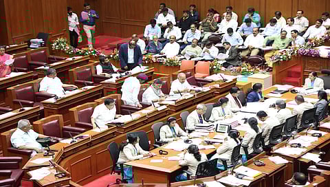 Legislative Council