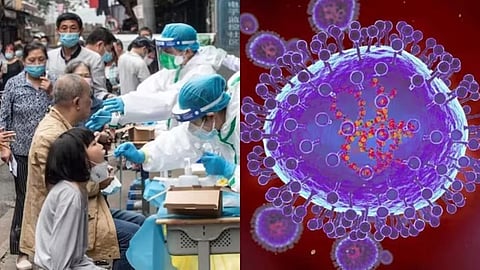 HMP virus