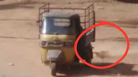 ನಾಯಿಯನ್ನು ಆಟೋಗೆ ಕಟ್ಟಿಕೊಂಡು ಎಳೆದೊಯ್ಯುತ್ತಿರುವ ಚಾಲಕ