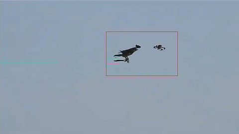 Telangana police gets Eagle Squad