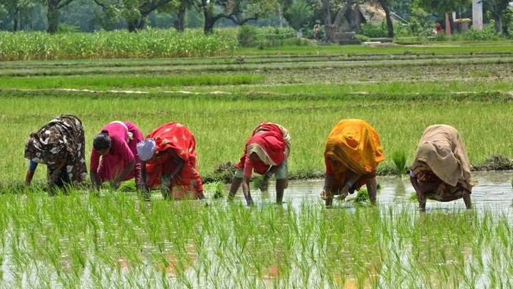 FM lays down agriculture plan