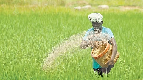 Budget 2025: ನಾಳೆಯ ಸಮಸ್ಯೆಗಳನ್ನು ಬಗೆಹರಿಸಲು ಇಂದು ಕೃಷಿಯಲ್ಲಿ ಹೆಚ್ಚು ಹೂಡಿಕೆ ಏಕೆ ಮಾಡಬೇಕು?