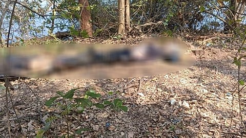 ಮೂವರ ಶವ ಪತ್ತೆ