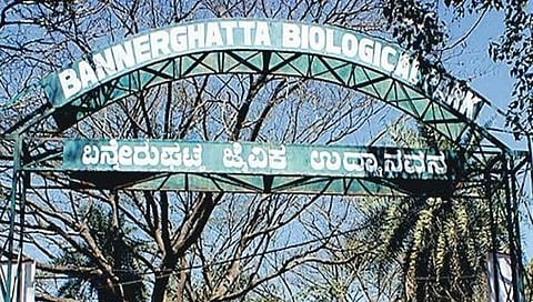 Bannerghatta Biological Park