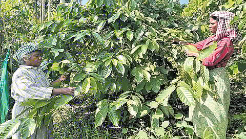 Representational image