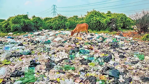ತ್ಯಾಜ್ಯ