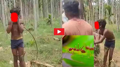 ದಾವಣಗೆರೆ: ಅಪ್ರಾಪ್ತ ಬಾಲಕರ ಮೇಲೆ ಅಮಾನುಷ ಕೃತ್ಯ; ಮರಕ್ಕೆ ಕಟ್ಟಿ ಮರ್ಮಾಂಗಕ್ಕೆ ಕೆಂಪಿರುವೆ ಬಿಟ್ಟು ಚಿತ್ರಹಿಂಸೆ!