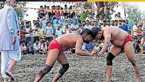 senior pehelwans teach specific skills to youngsters who are sent like warriors for kustis