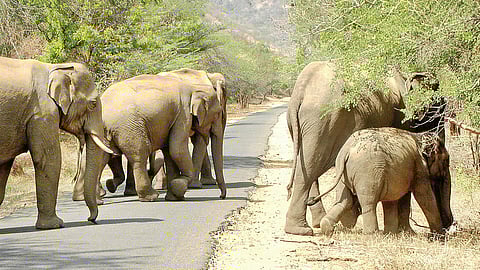 File image