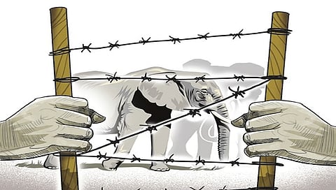 Representational image