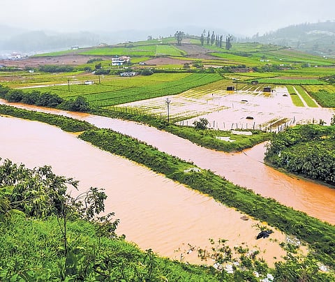 Representational image