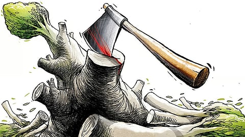 Representational image