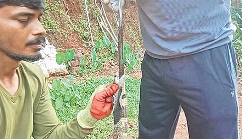 ಚಾಕು ಹೊರಗೆ ತೆಗೆಯುತ್ತಿರುವುದು