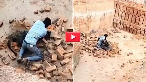 Leopard attacks man