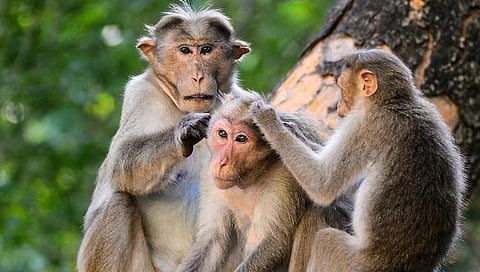 Representational image