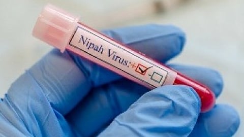 2nd suspected Nipah death in Kerala