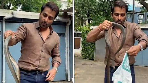 Sonu Sood rescued snake