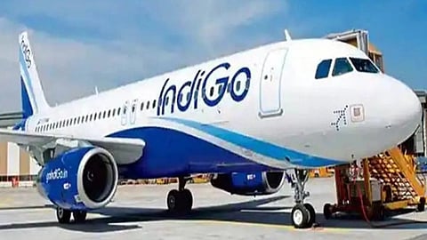 Indigo flight