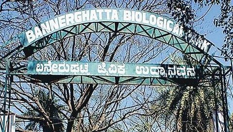 Bannerghatta Biological Park