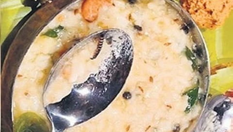 Worm Found in pongal