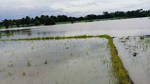 Farmlands submerged