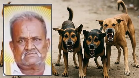 man mauled to death by stray dogs