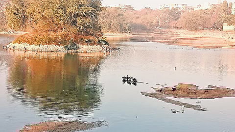 Vibhutipura Lake in East Bengaluru