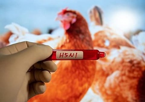 H5N1 outbreak confirmed in Hesaraghatta, containment measures underway