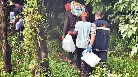 Human remains found