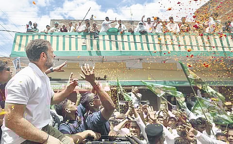 Rahul Gandhi in Yatra